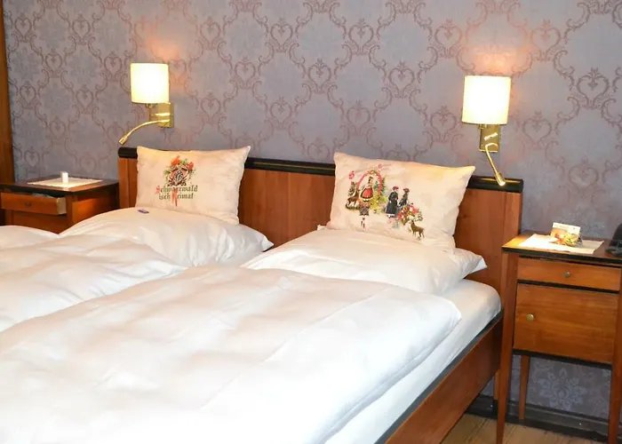 Hotel Sonne Offenbourg